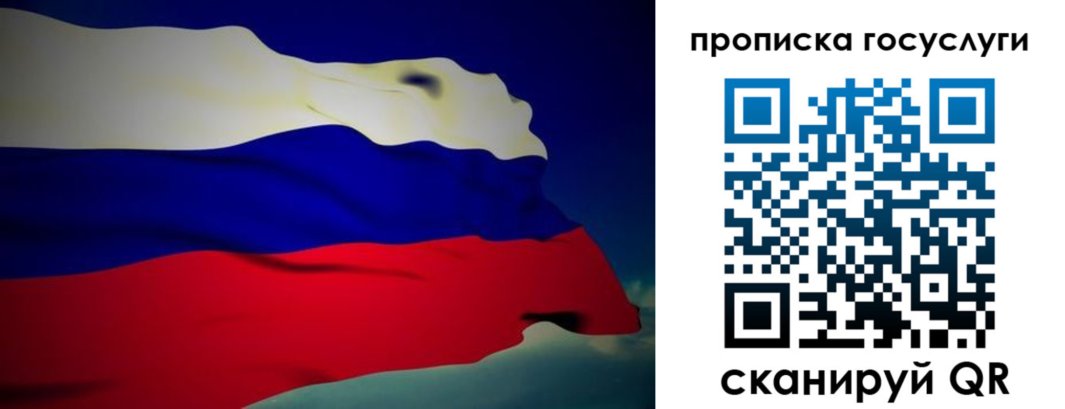 прописка регистрация в Лесозаводске